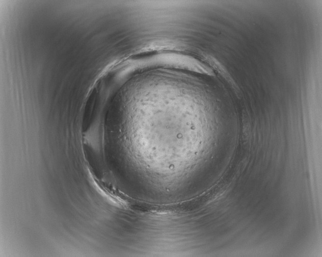 X0000066120530200603311538