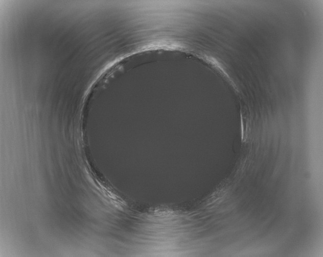 X0000066120531200603311538