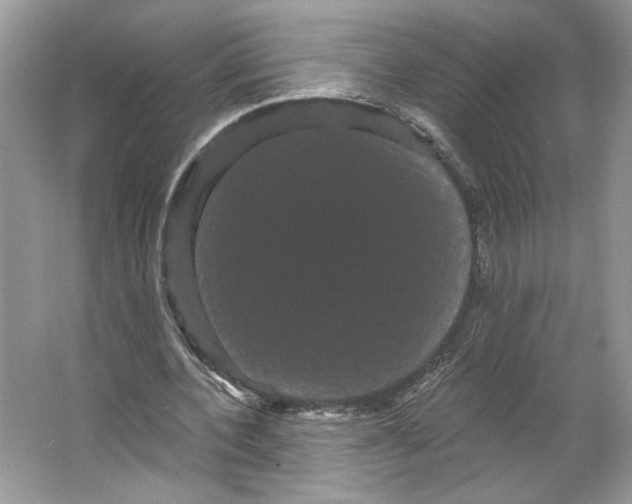 X0000066120532200603311538