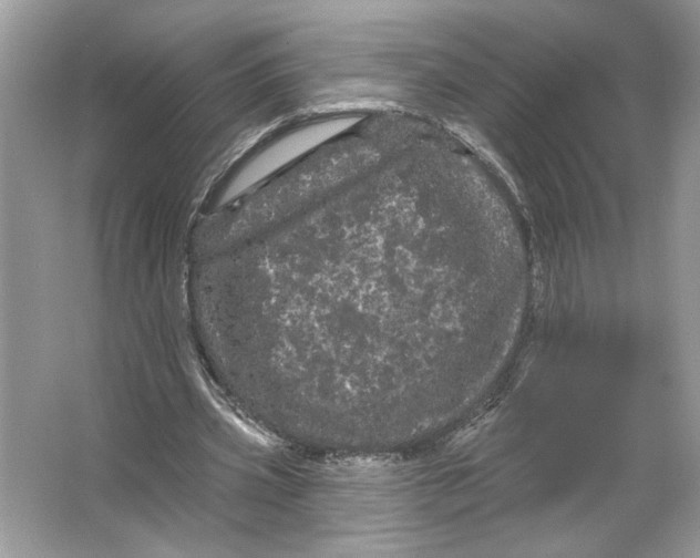 X0000066120533200603311538