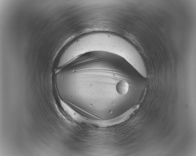 X0000066120534200603311538