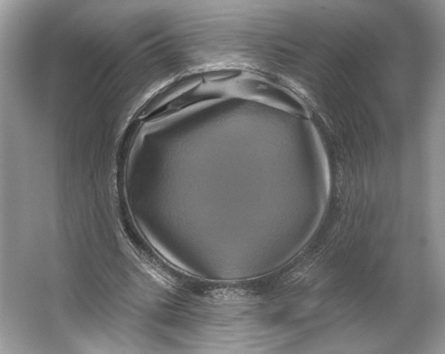 X0000066120535200603311538