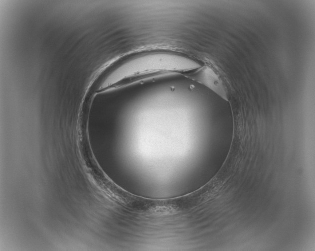 X0000066120536200603311538