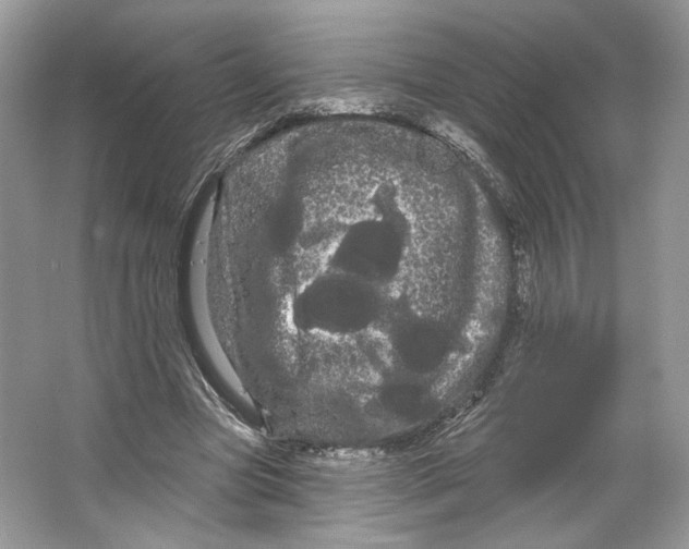 X0000066120537200603311538