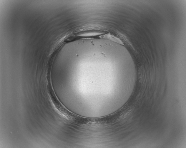 X0000066120538200603311538