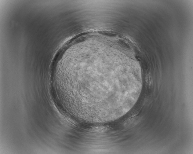 X0000066120540200603311538