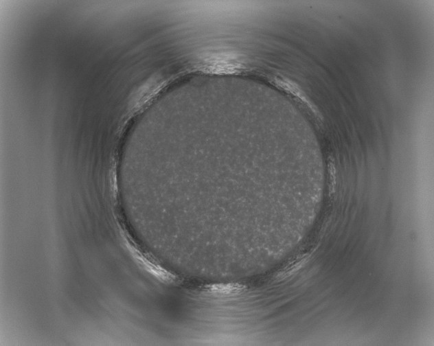 X0000066120541200603311538