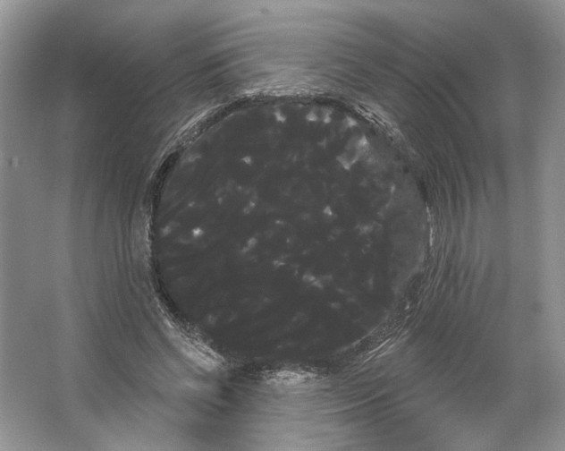 X0000066120542200603311538