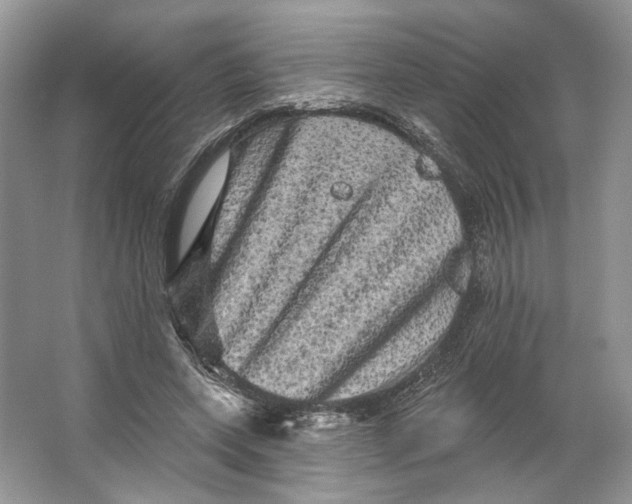 X0000066120543200603311538