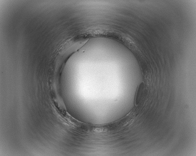 X0000066120546200603311538