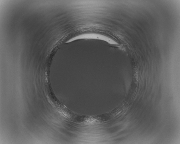 X0000066120547200603311538