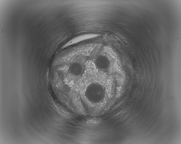 X0000066120550200603311538