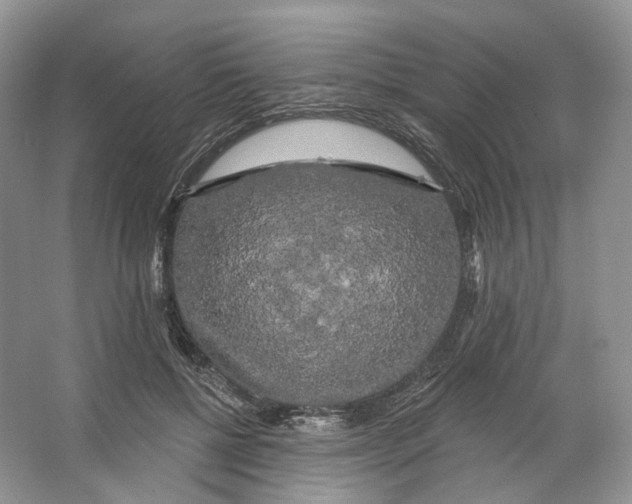 X0000066120552200603311538