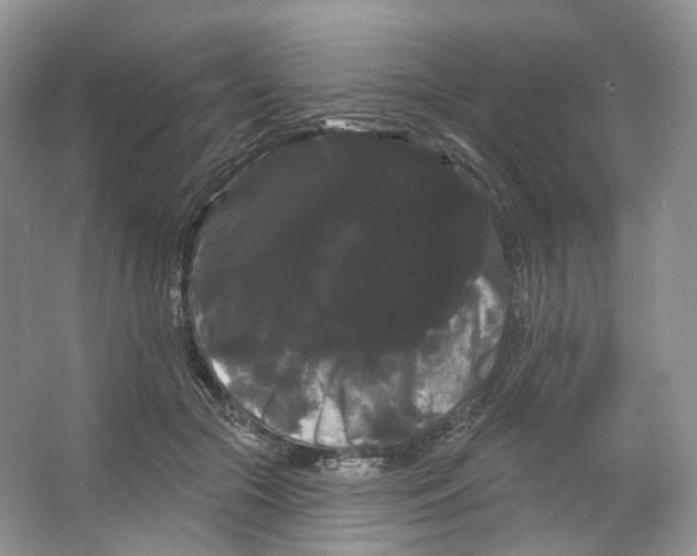 X0000066120553200603311538