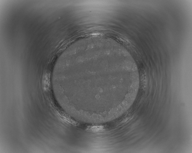 X0000066120554200603311538