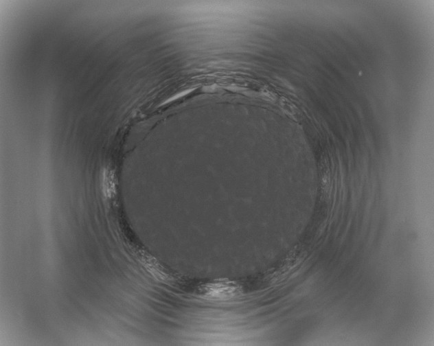 X0000066120555200603311538