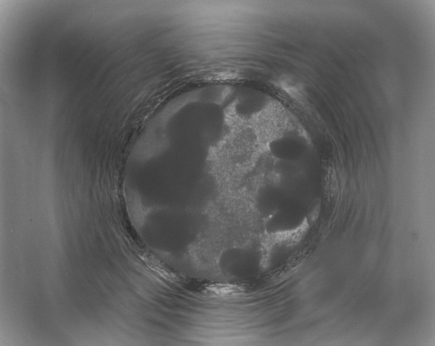 X0000066120557200603311538