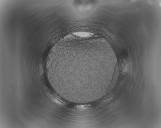 X0000066120558200603311538