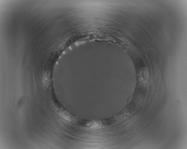 X0000066120559200603311538