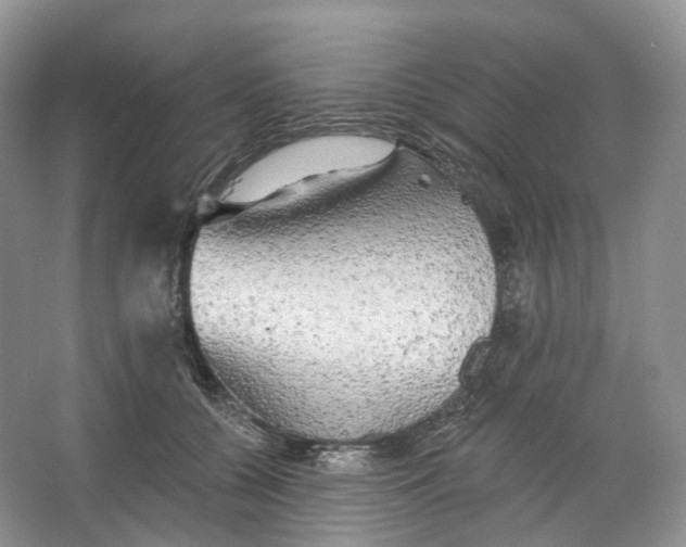 X0000066120560200603311538