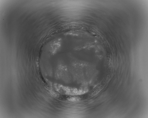 X0000066120561200603311538