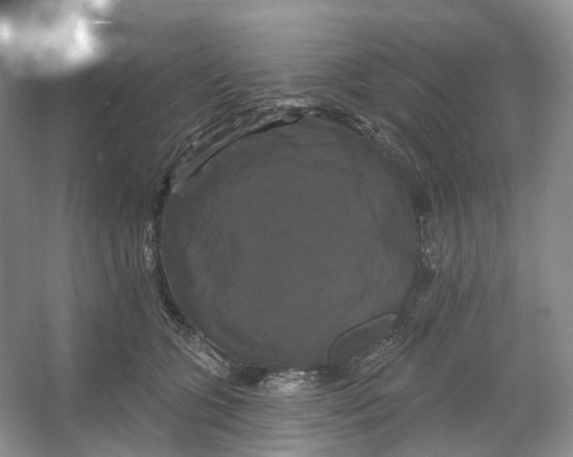 X0000066120563200603311539