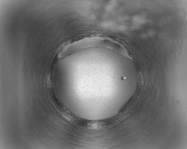 X0000066120564200603311539