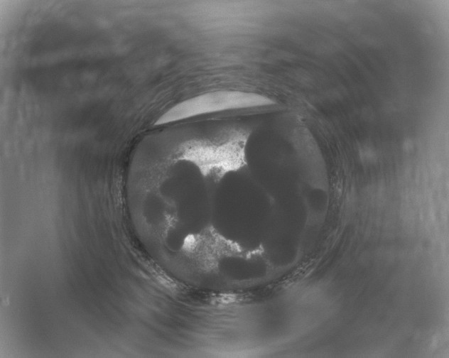 X0000066120565200603311539