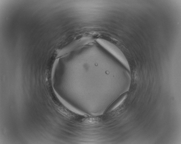 X0000066120567200603311539