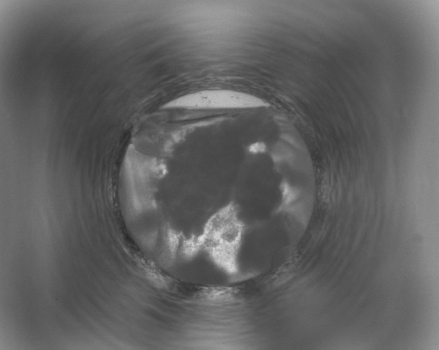 X0000066120569200603311539