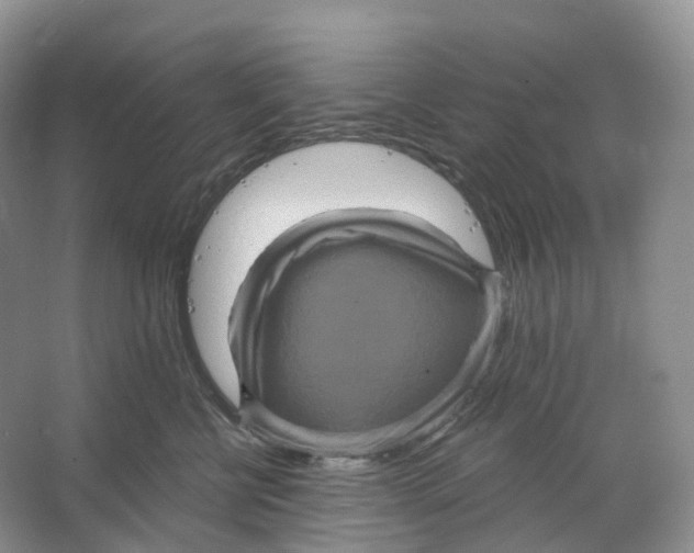 X0000066120570200603311539