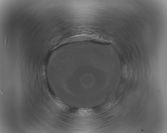 X0000066120571200603311539