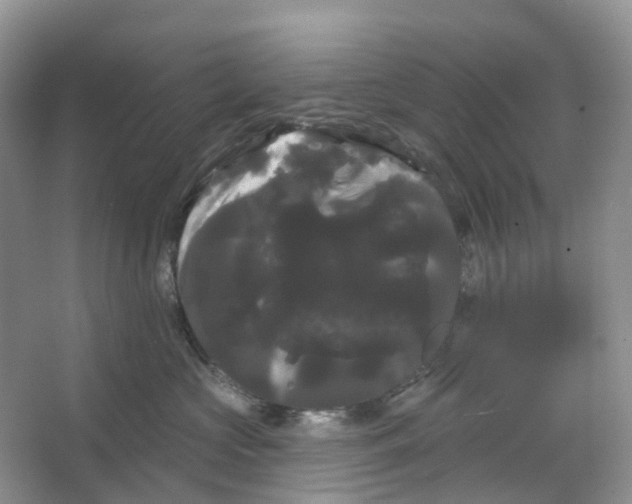 X0000066120573200603311539