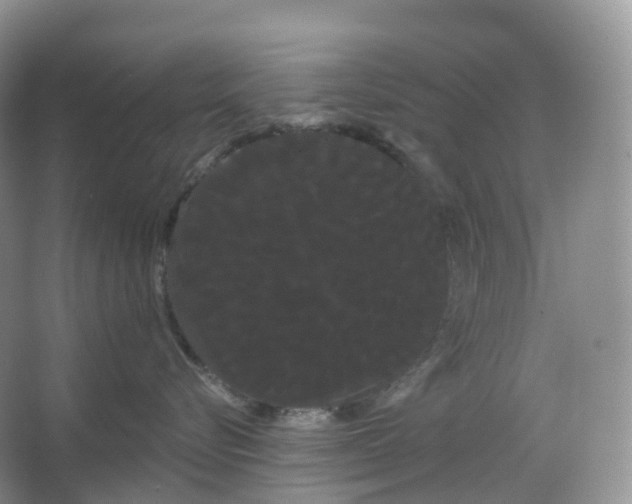 X0000066120576200603311539