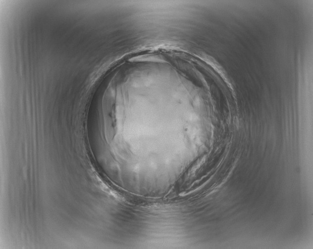 X0000066120577200603311538