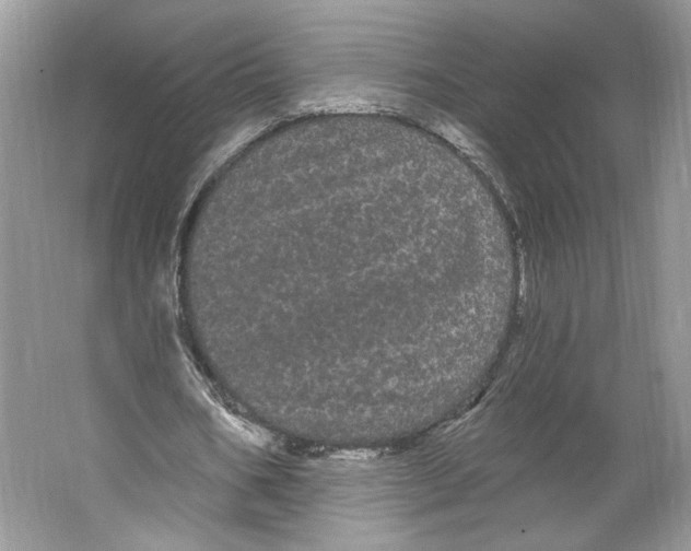 X0000066120578200603311538