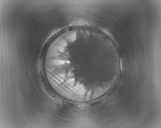 X0000066120579200603311538