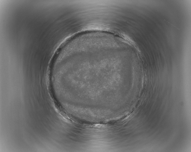 X0000066120580200603311538