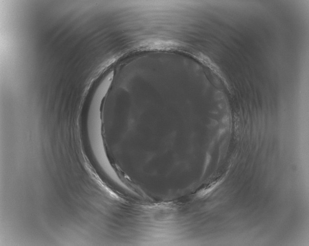 X0000066120581200603311538