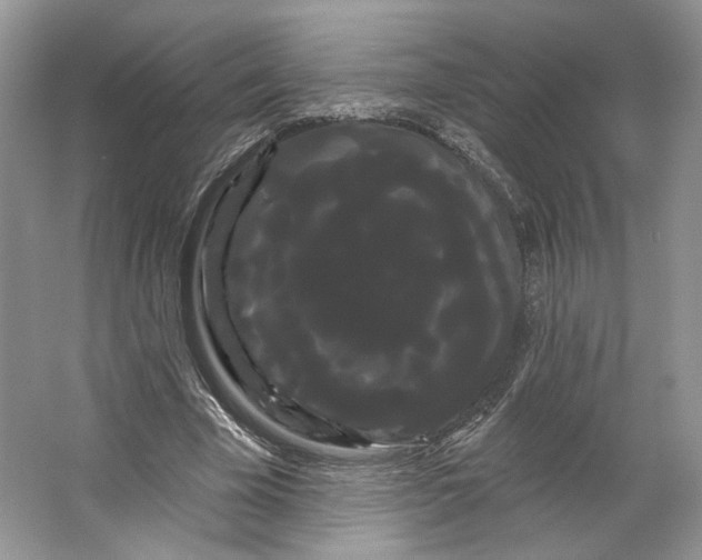 X0000066120585200603311538