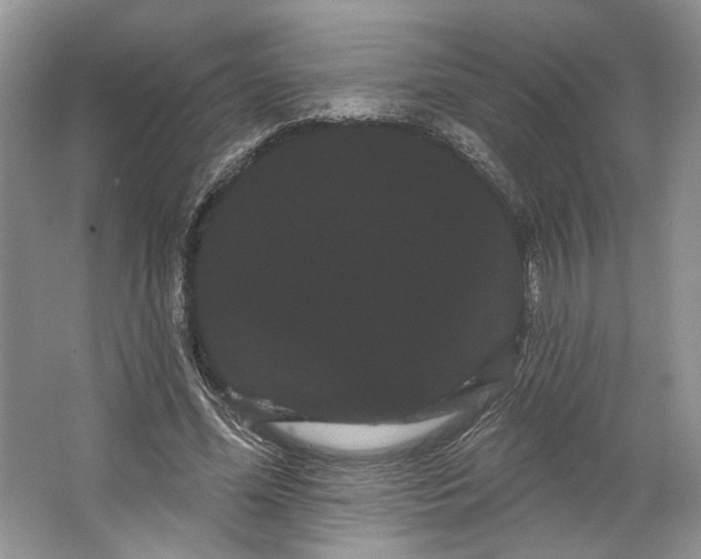 X0000066120588200603311538