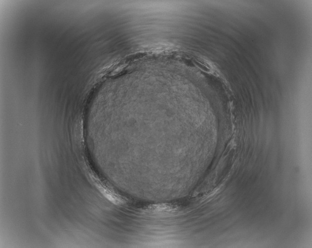 X0000066120589200603311538