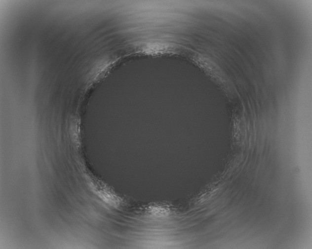 X0000066120592200603311538