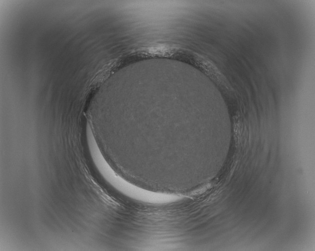 X0000066120593200603311538