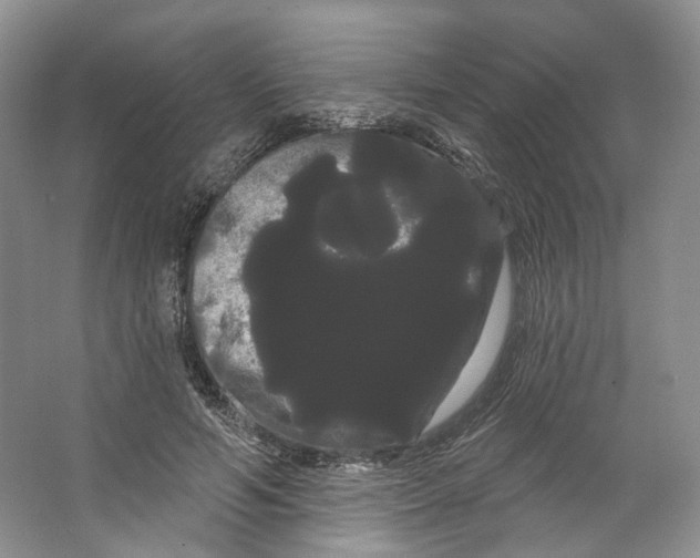 X0000066120594200603311538