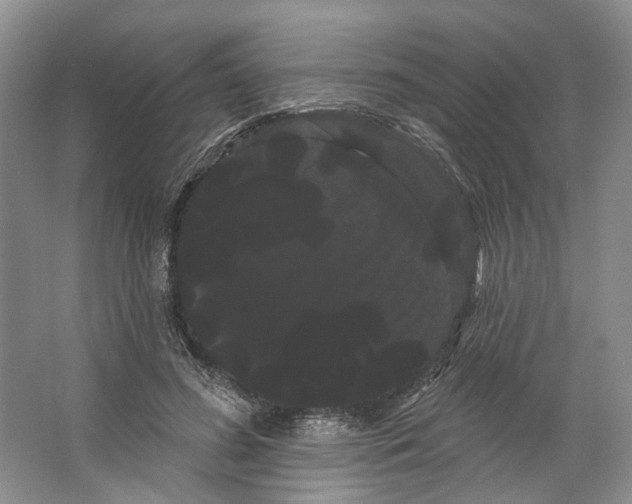 X0000066120596200603311538