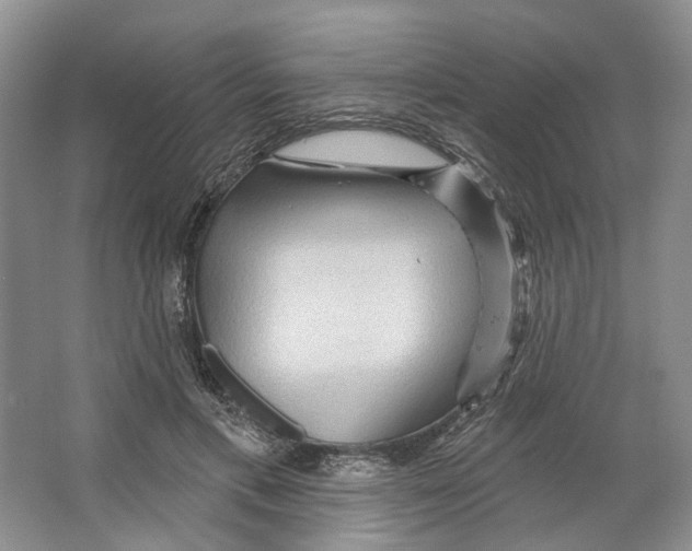 X0000066120597200603311537