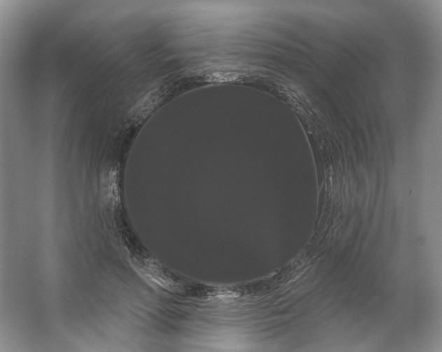 X0000066120598200603311537