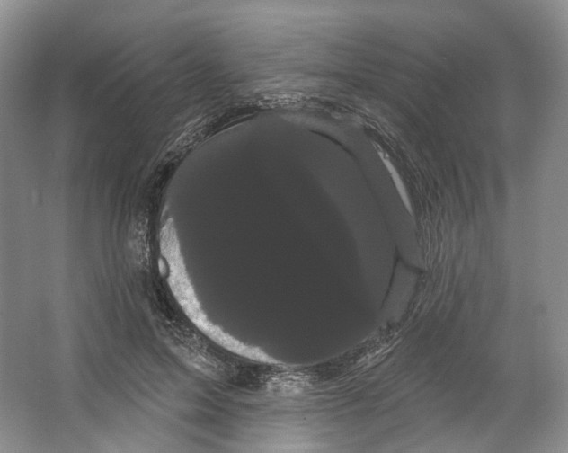 X0000066120599200603311537