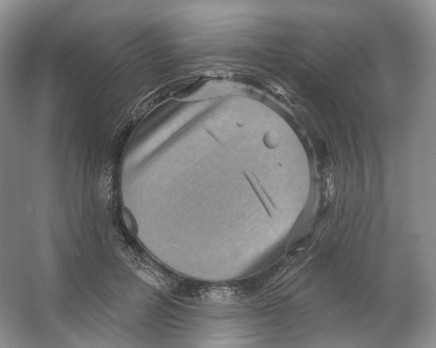 X0000066120600200603311537